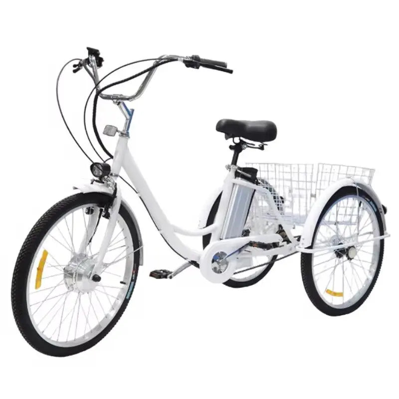 Electric Cargo Bike for Adults Seniors 350W 36V 12AH Removable Lithium Battery Three-wheel Electric Bicycle for Old People